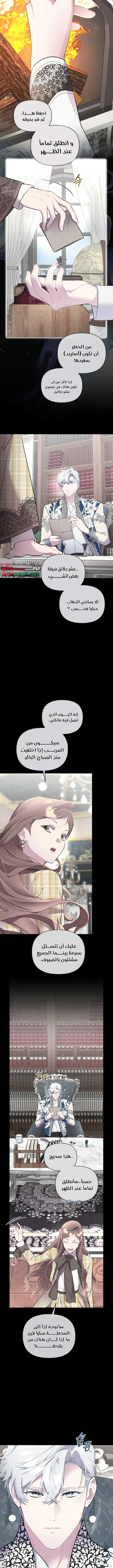 الصفحة 5
