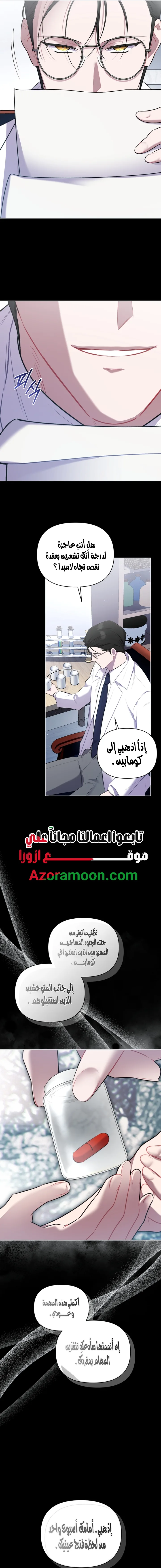 الصفحة 13