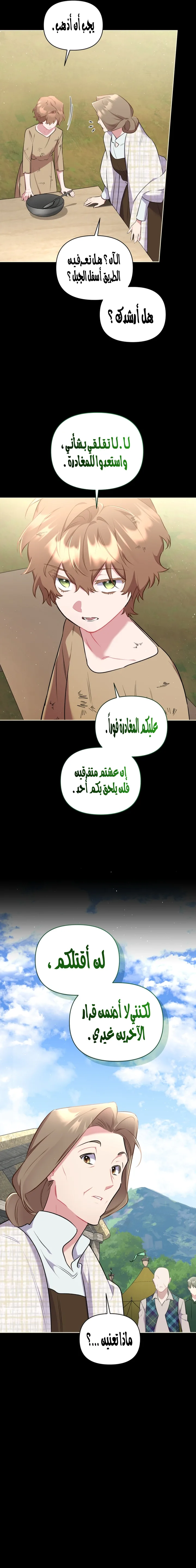 الصفحة 17