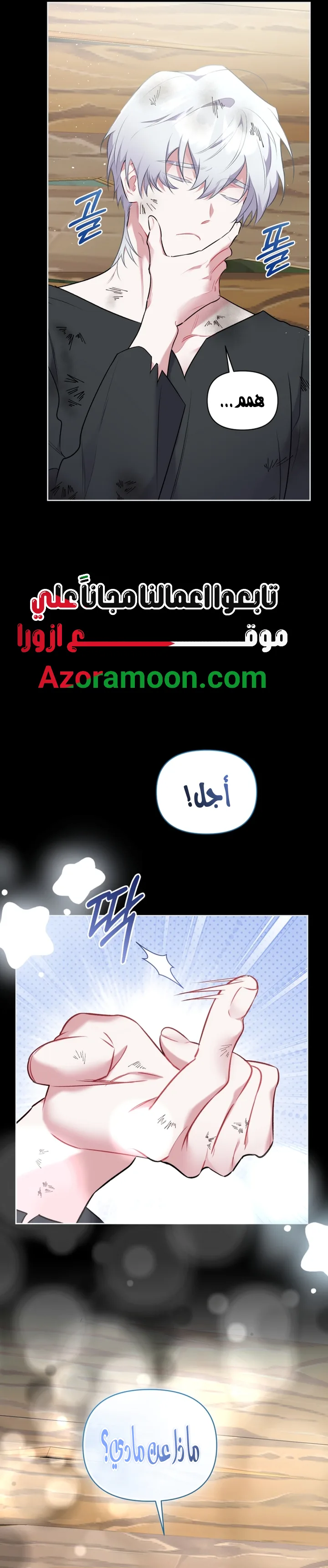 الصفحة 19
