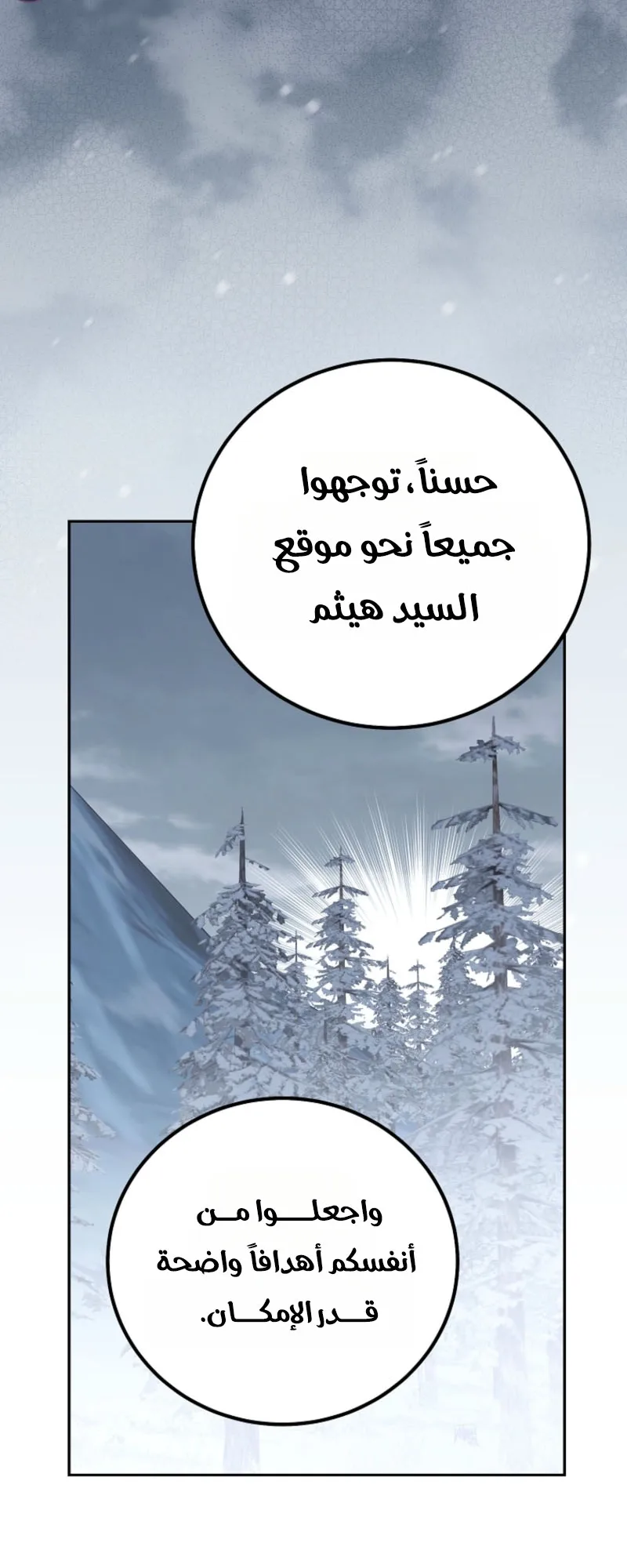 الصفحة 31