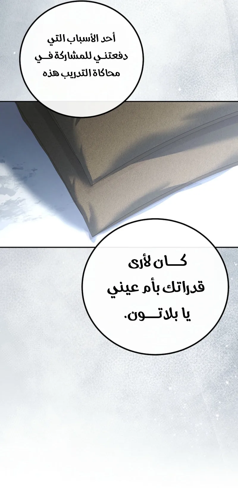 الصفحة 88