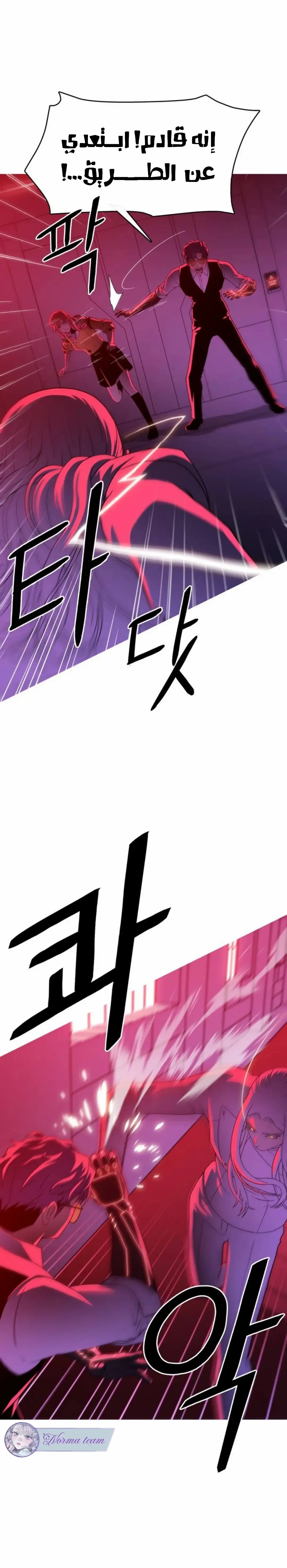 الصفحة 13