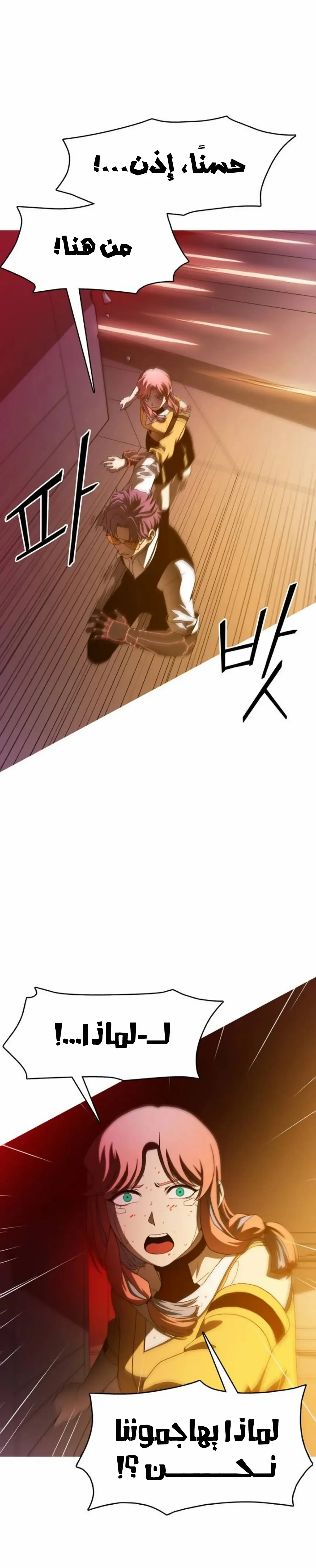 الصفحة 25