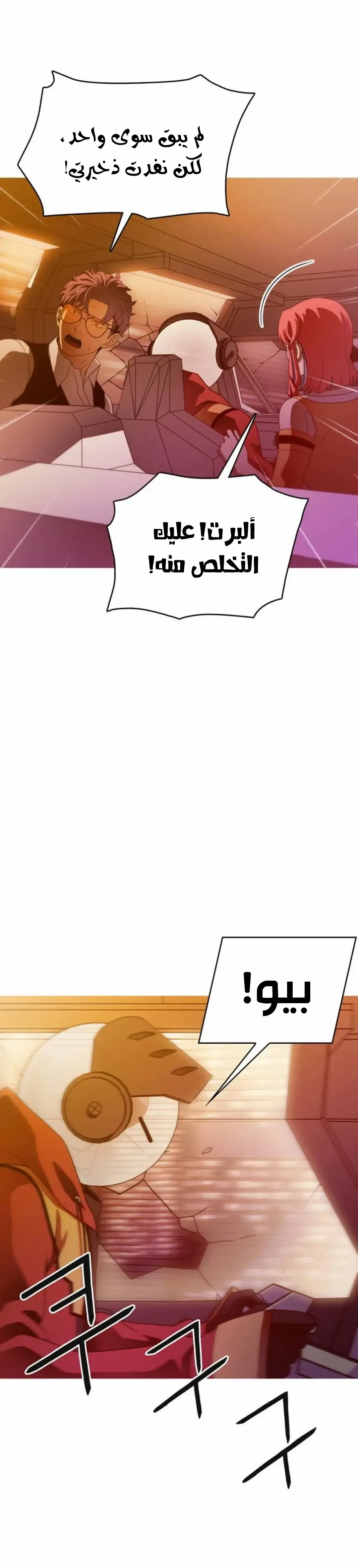 الصفحة 17