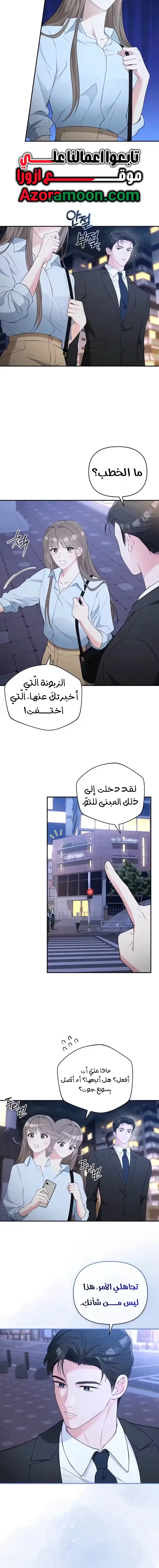 الصفحة 13
