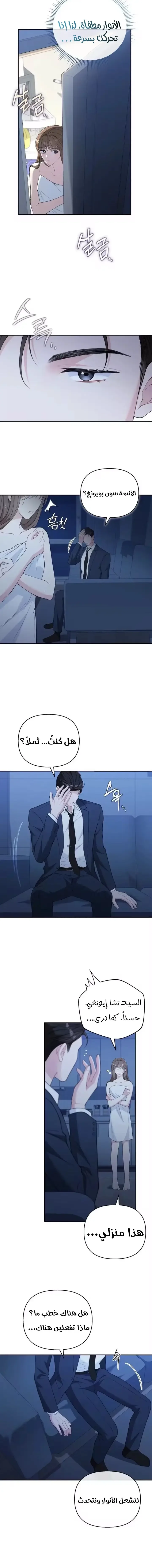 الصفحة 11