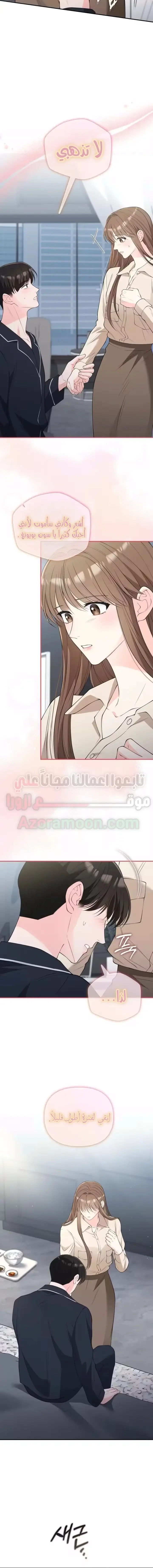 الصفحة 11