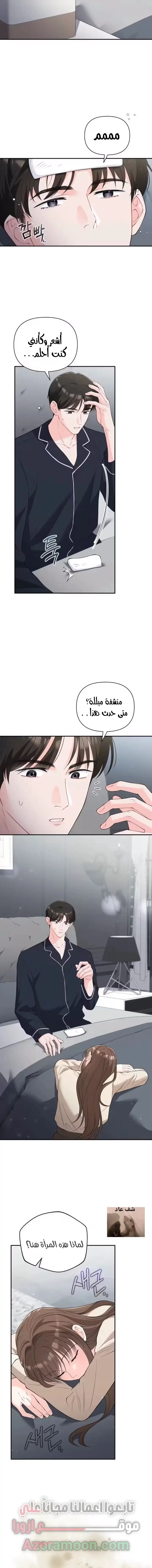 الصفحة 13