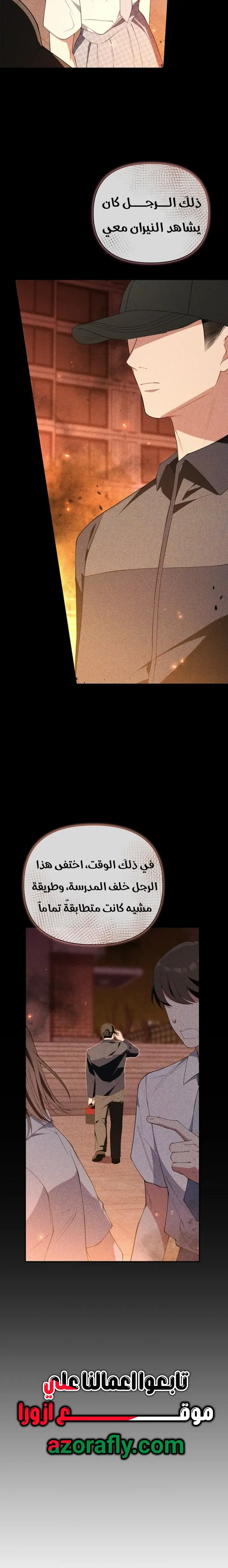 الصفحة 17