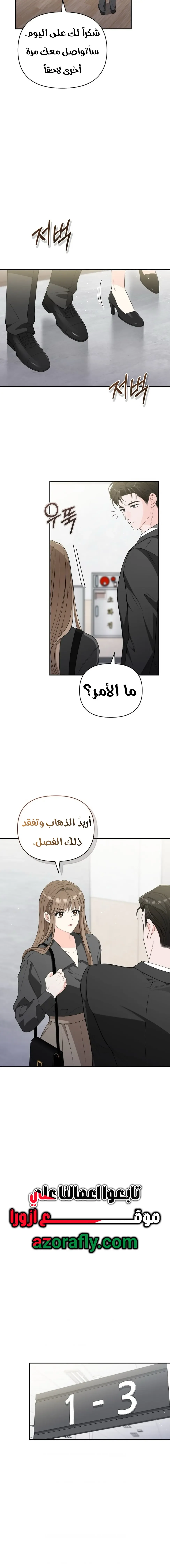 الصفحة 19