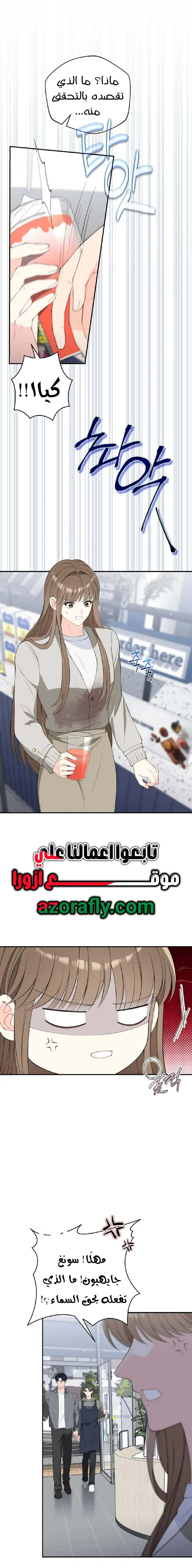 الصفحة 12