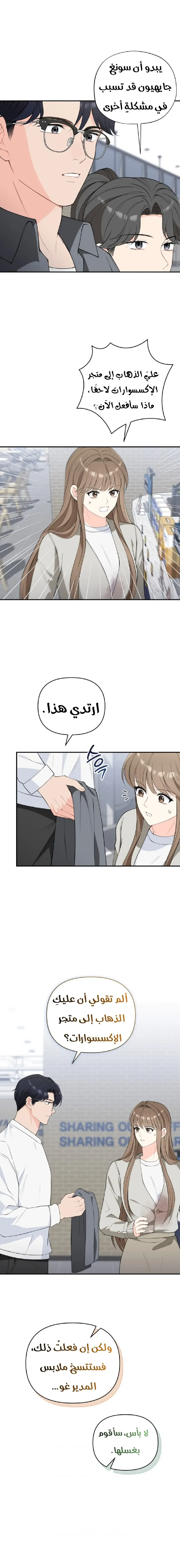 الصفحة 13