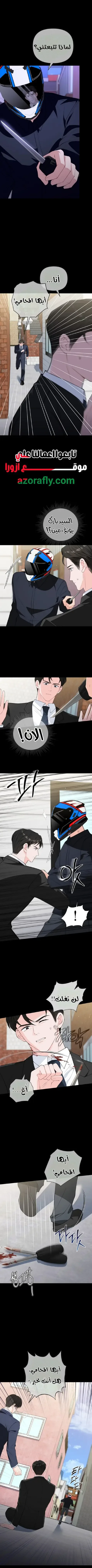 الصفحة 11