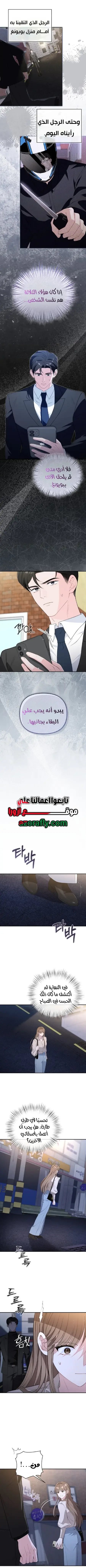الصفحة 13