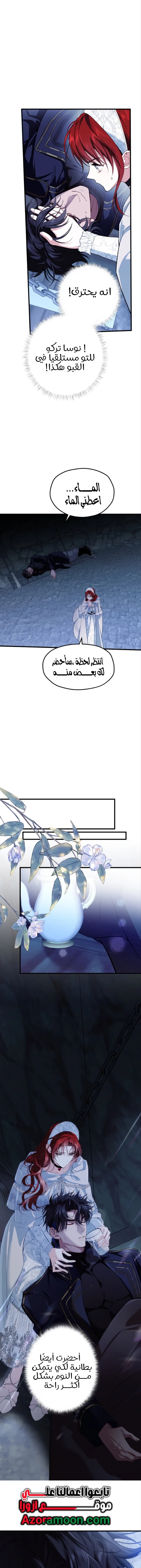 الصفحة 13