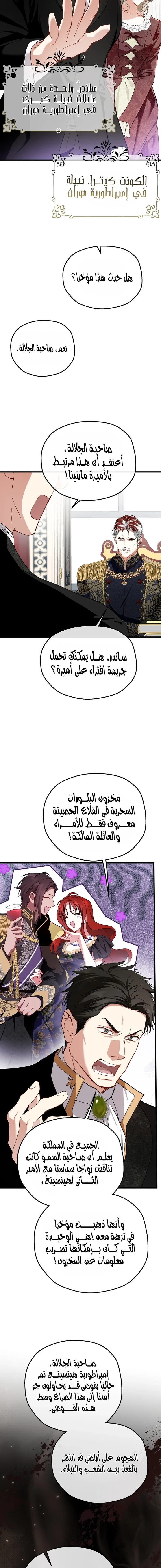 الصفحة 16