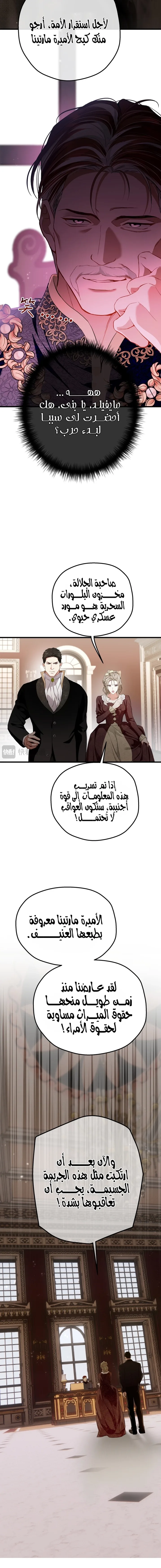 الصفحة 17