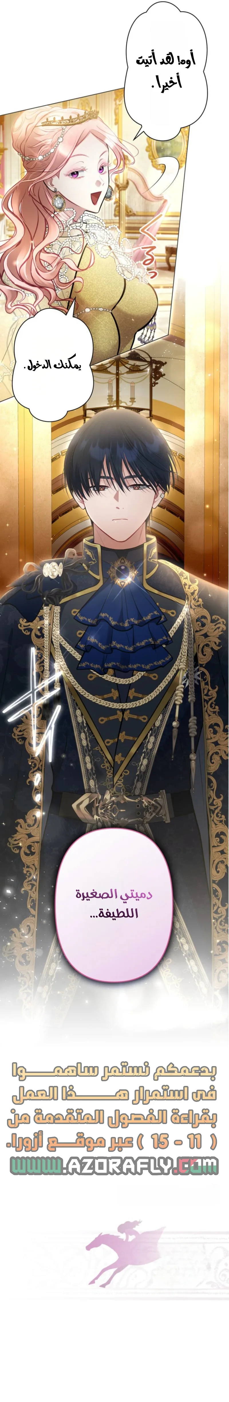 الصفحة 13