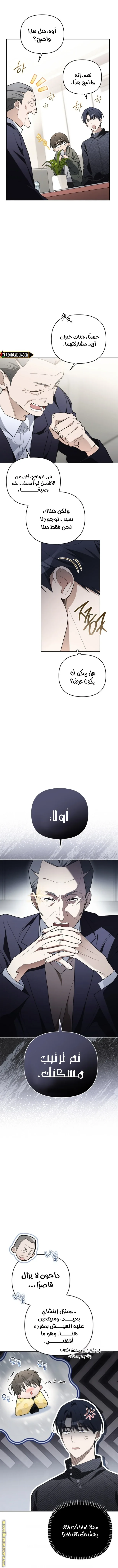 الصفحة 7
