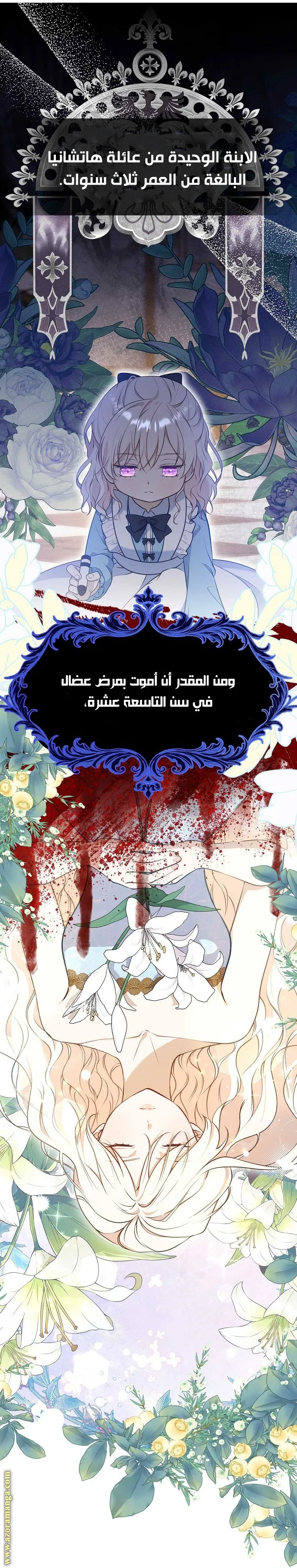 الصفحة 15