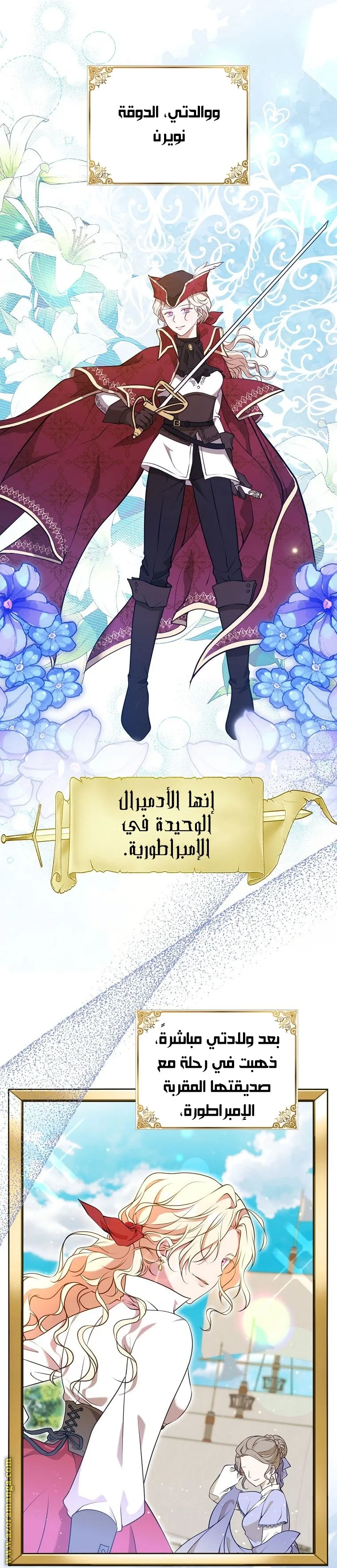 الصفحة 17