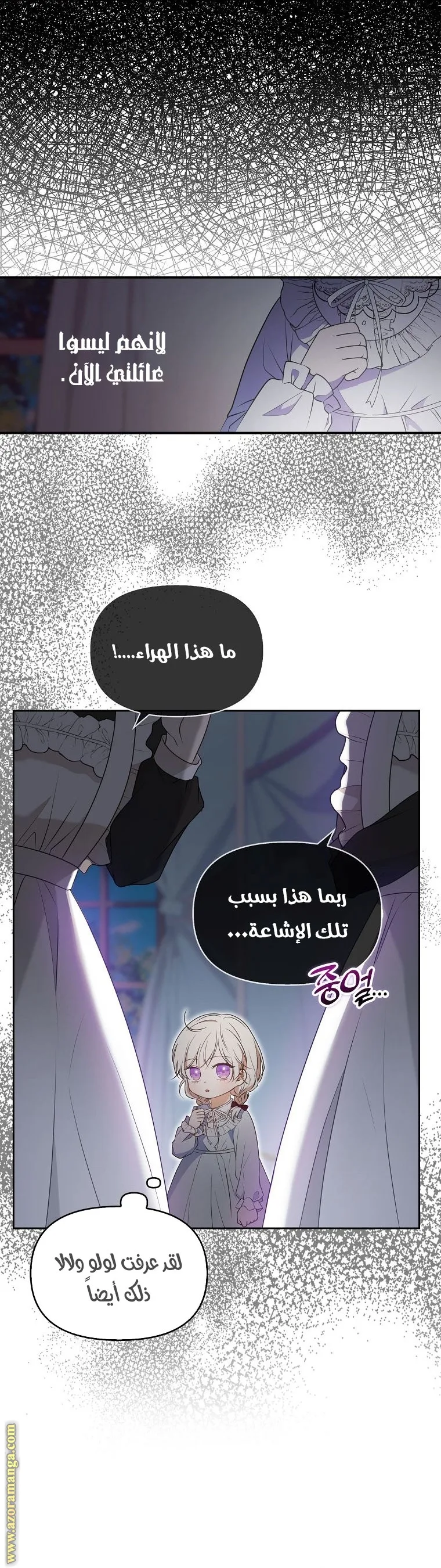 الصفحة 29