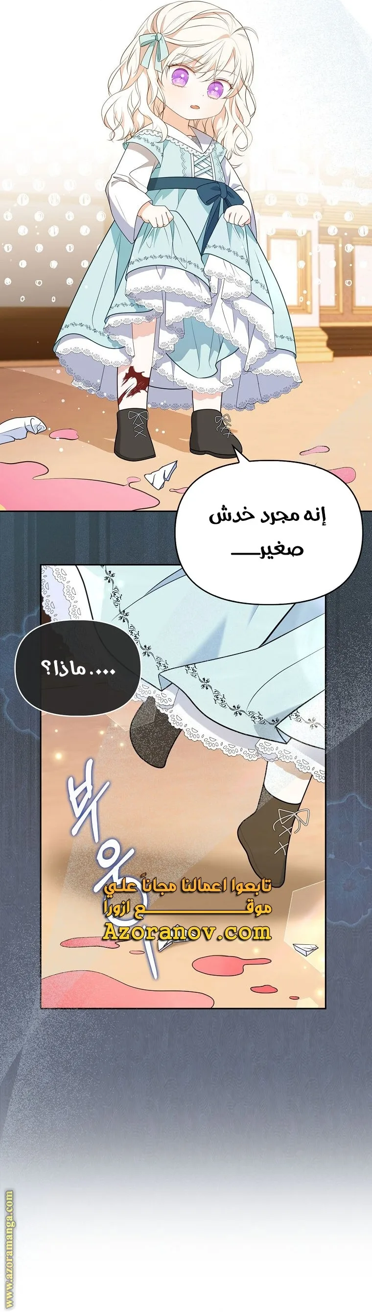 الصفحة 11