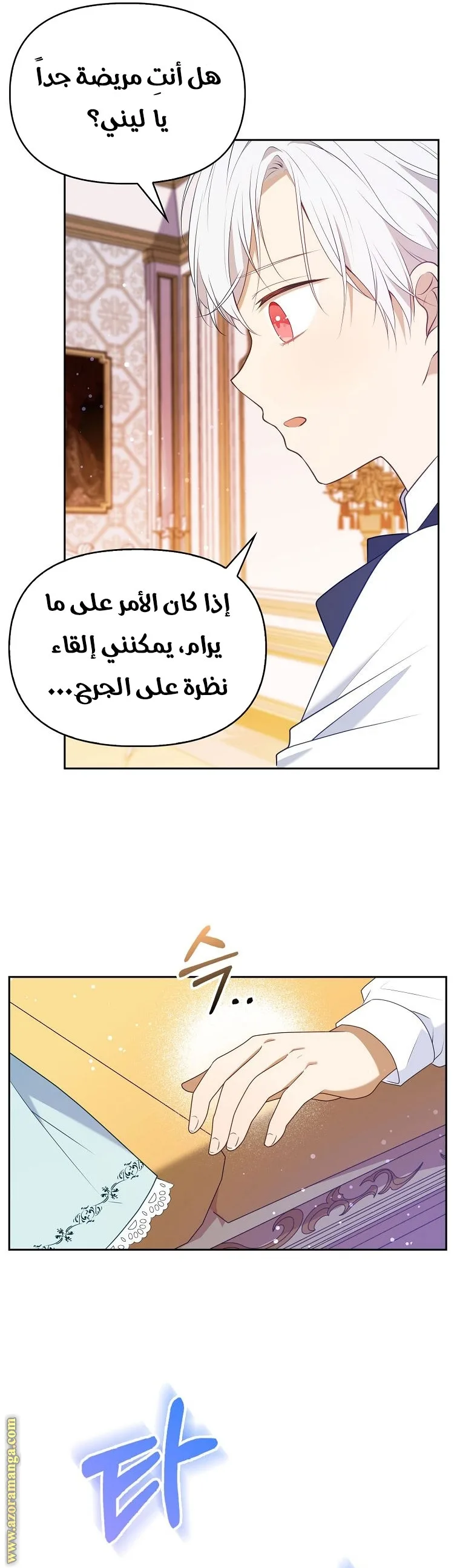 الصفحة 17