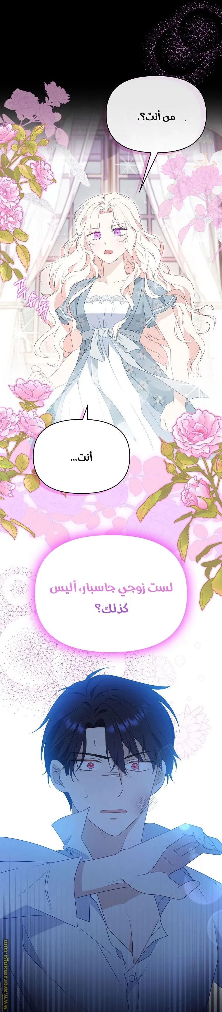 الصفحة 24