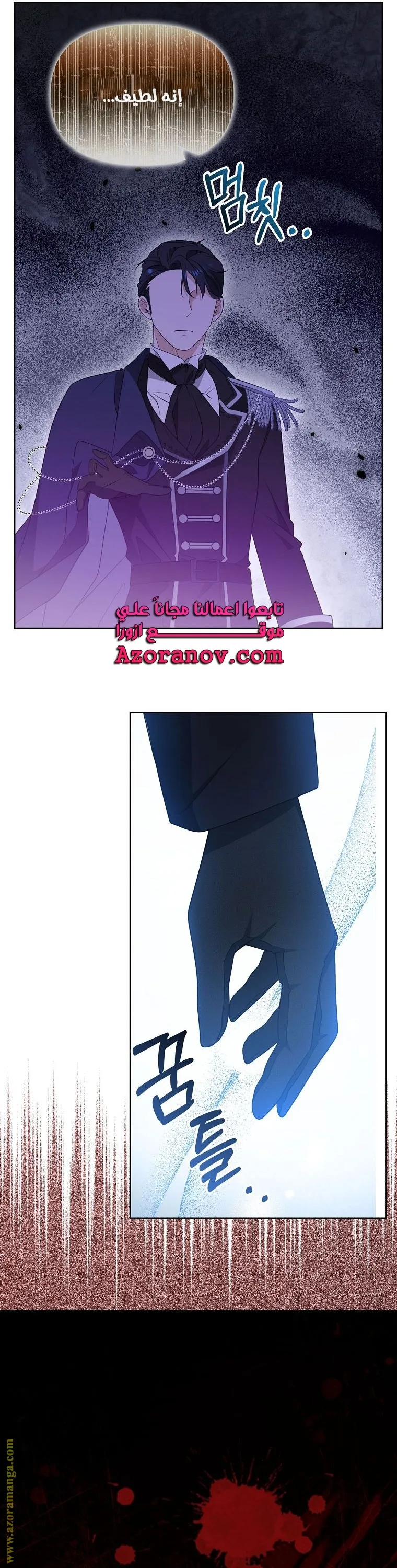 الصفحة 41