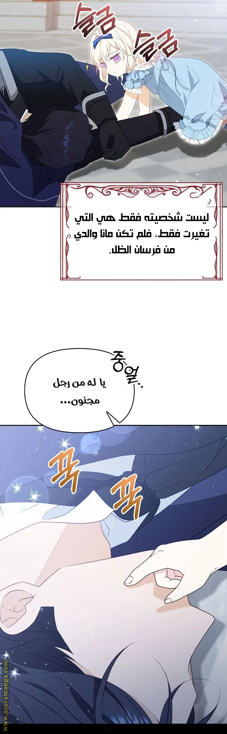 الصفحة 13
