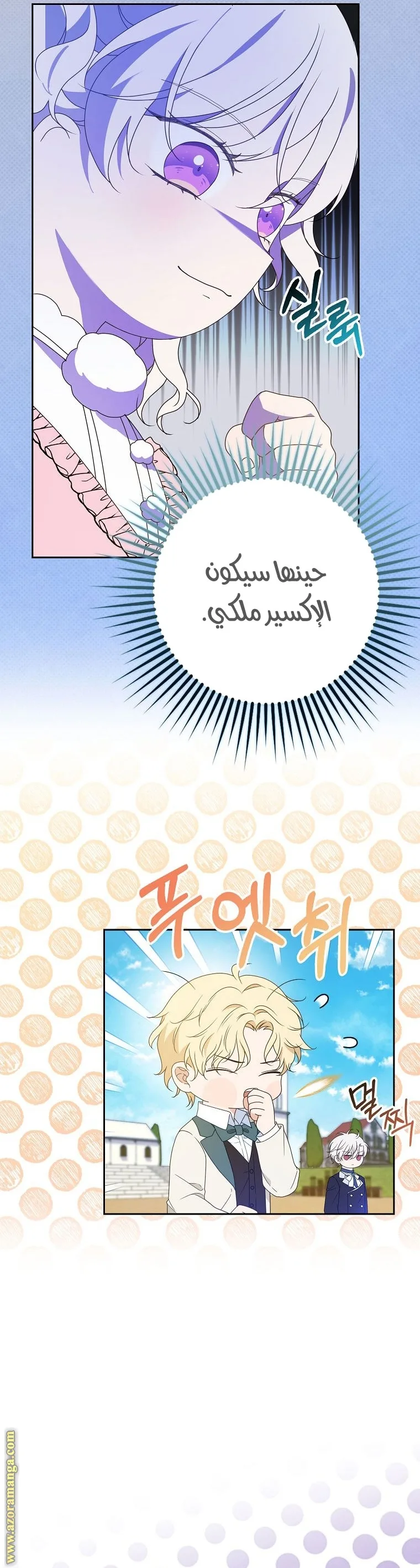 الصفحة 20