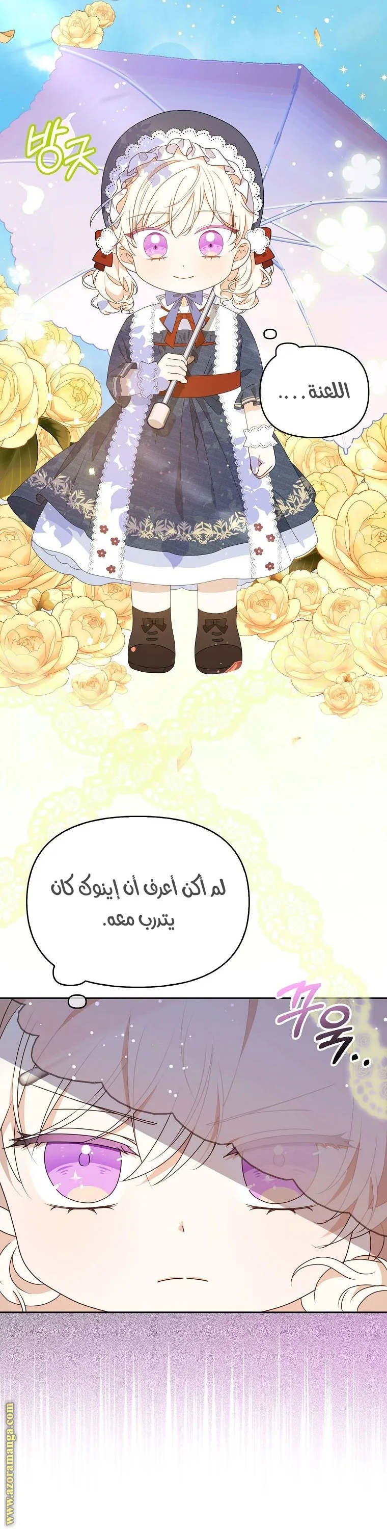 الصفحة 46
