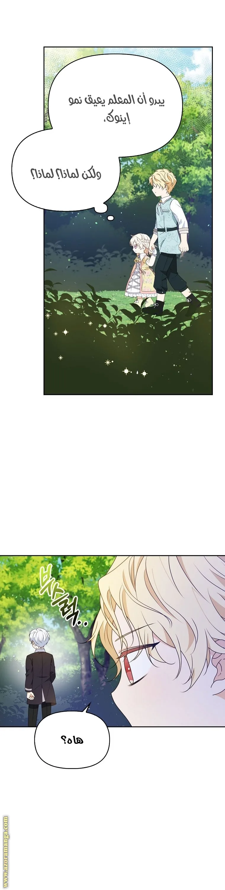 الصفحة 13