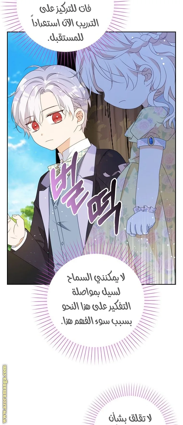 الصفحة 26