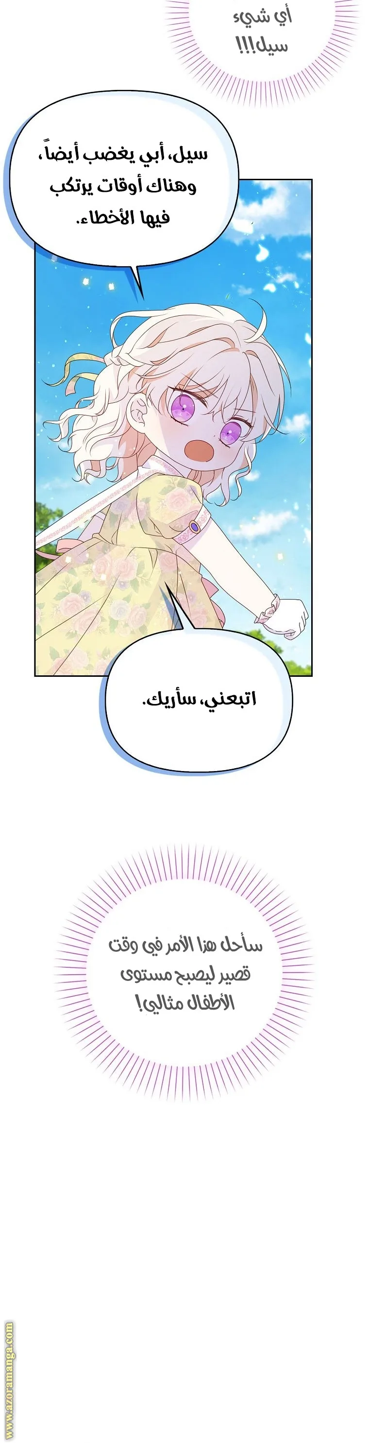 الصفحة 27