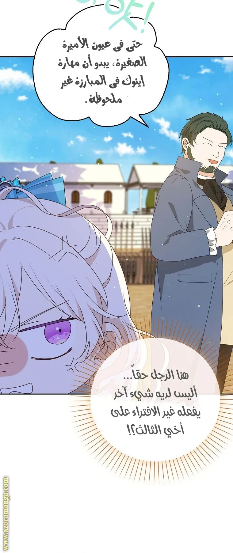 الصفحة 29