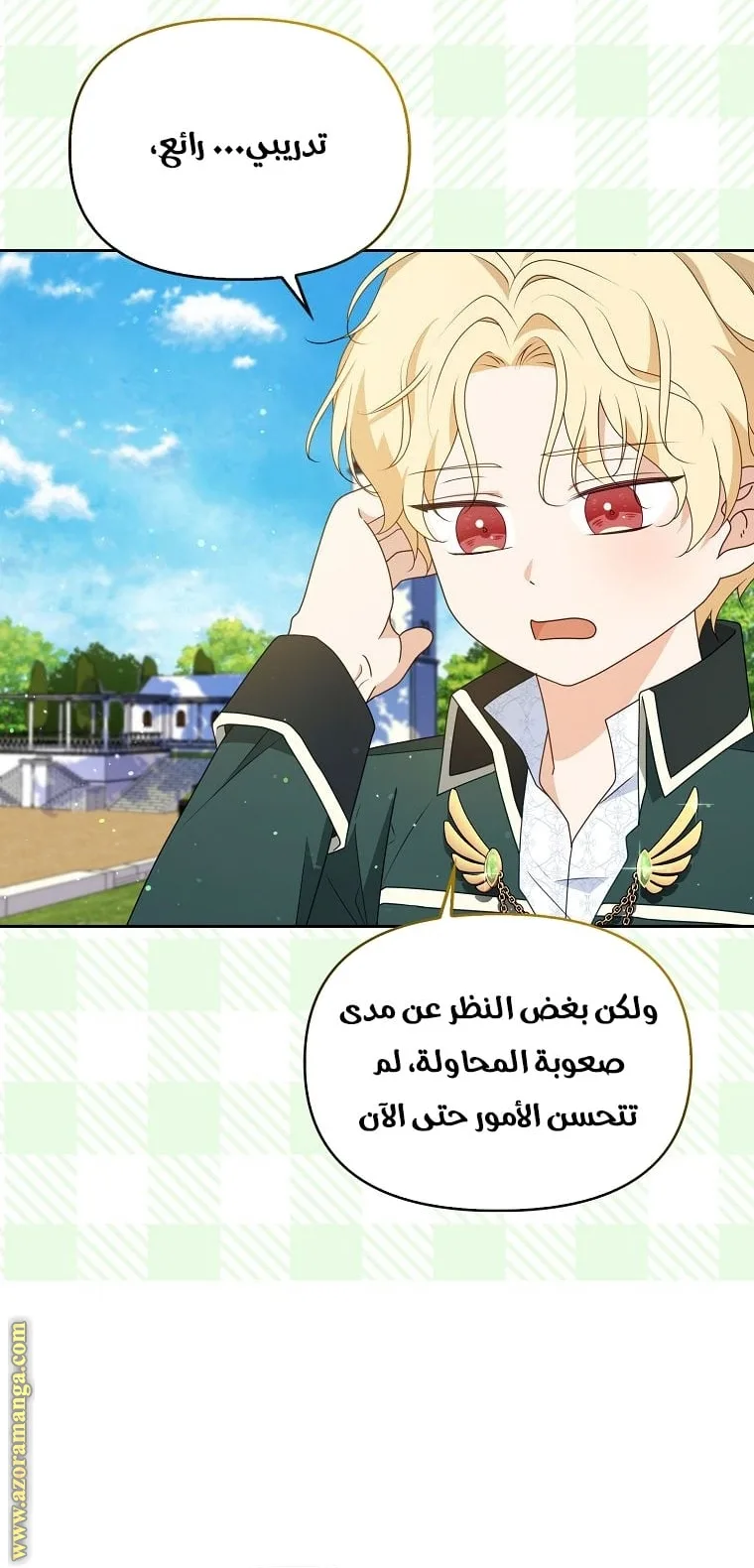 الصفحة 27