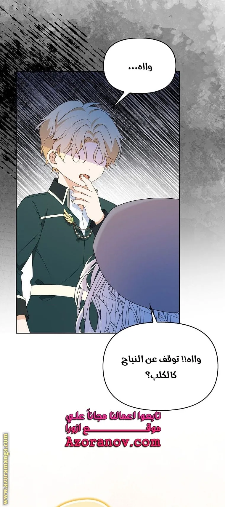 الصفحة 37