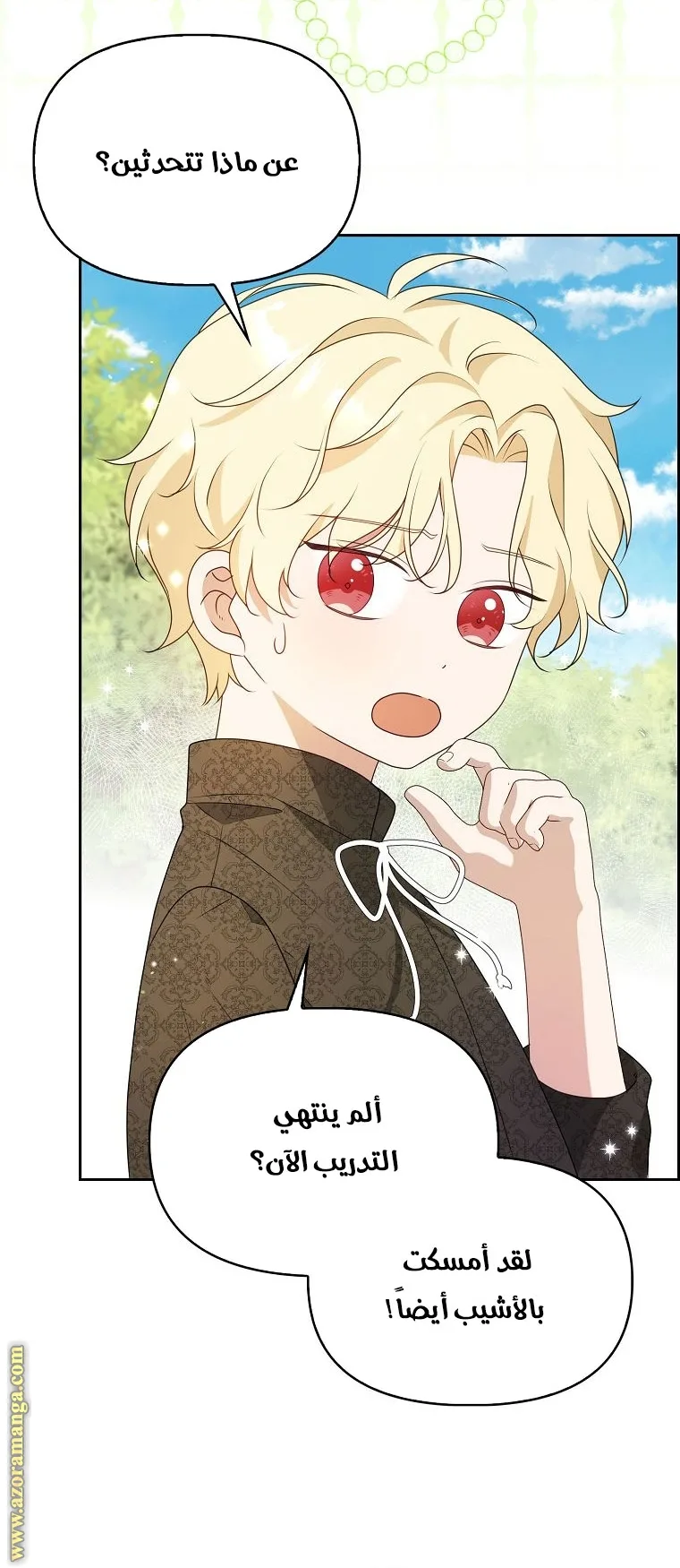الصفحة 13