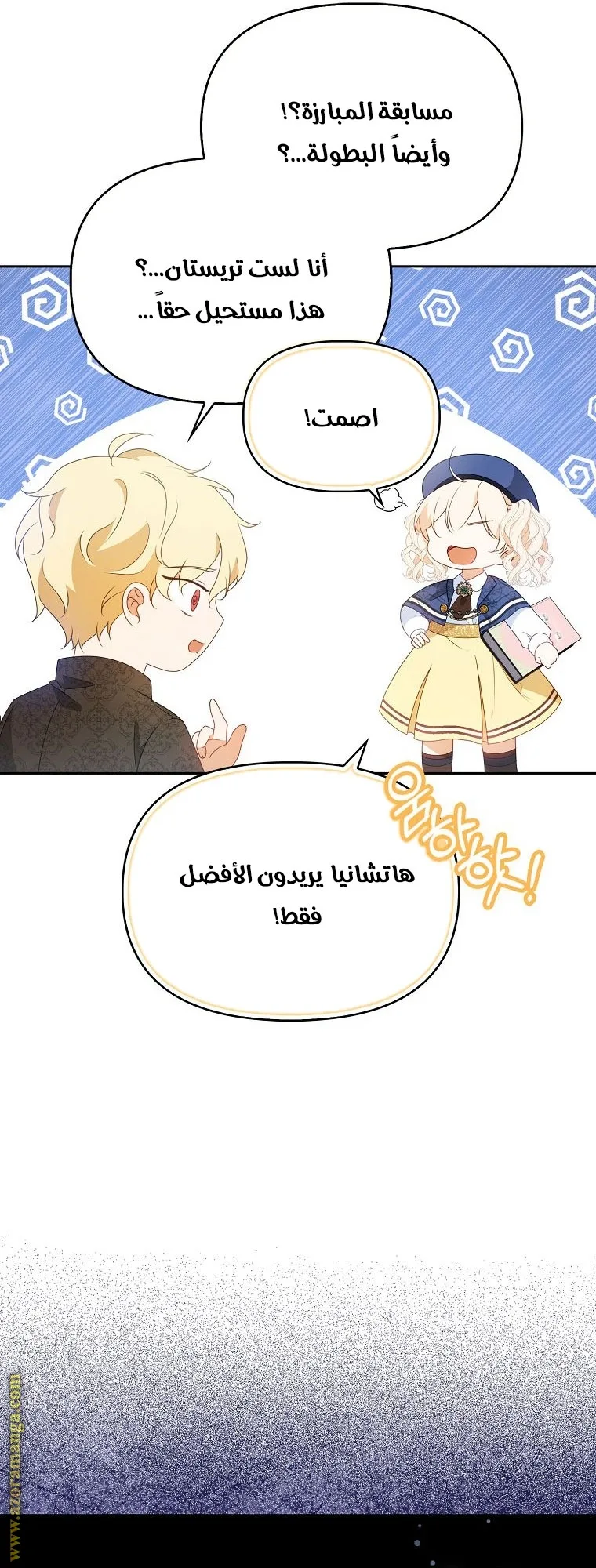 الصفحة 17