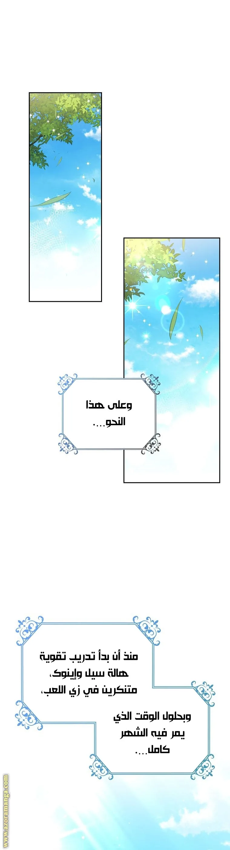 الصفحة 29