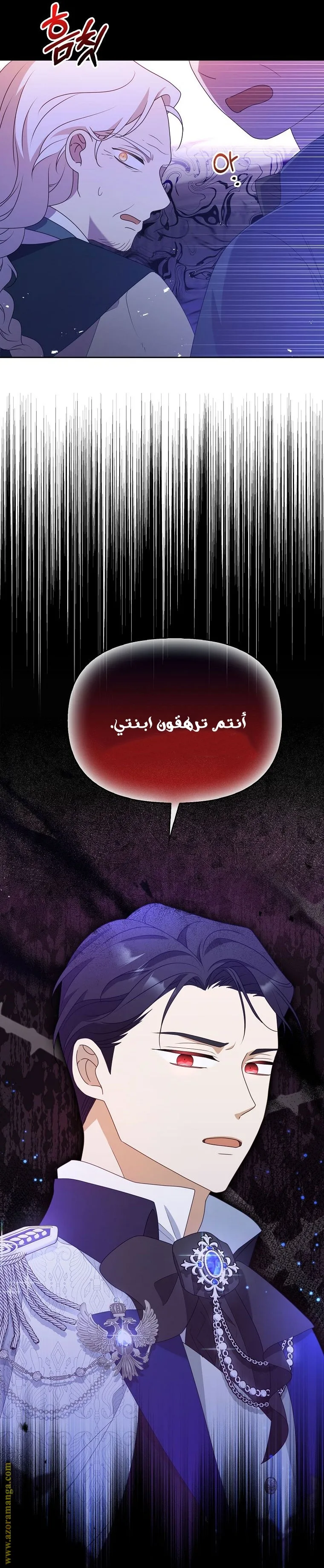 الصفحة 25