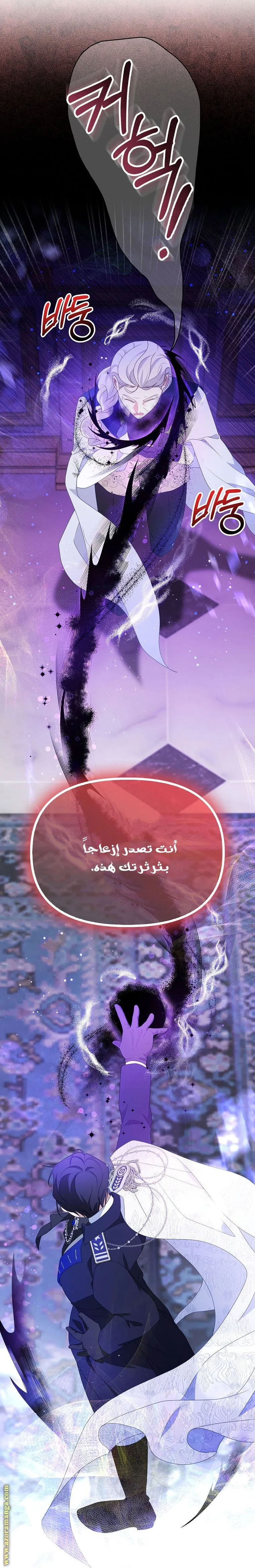الصفحة 29