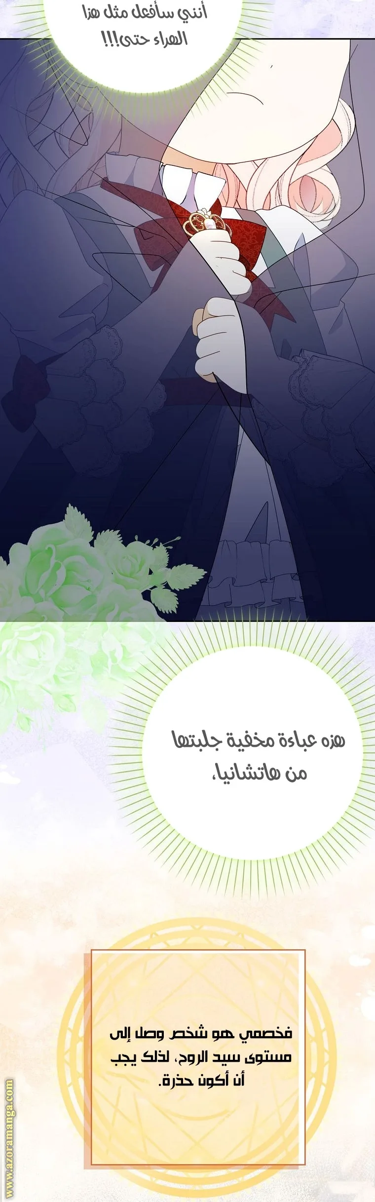 الصفحة 29