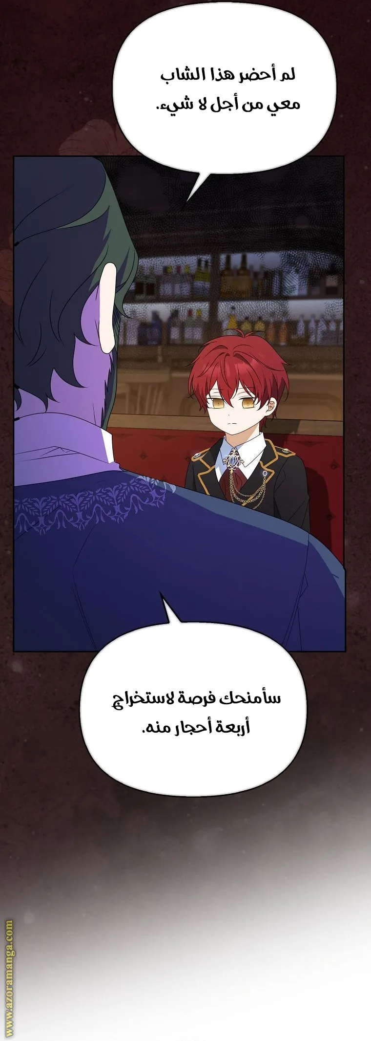 الصفحة 43