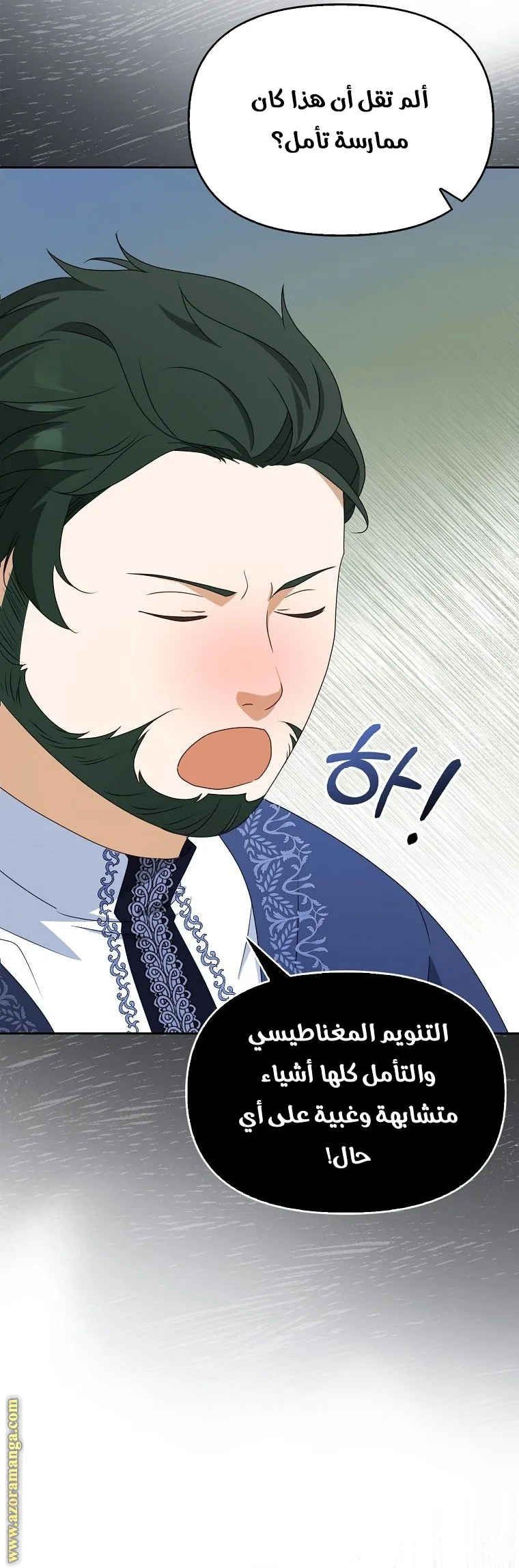 الصفحة 19