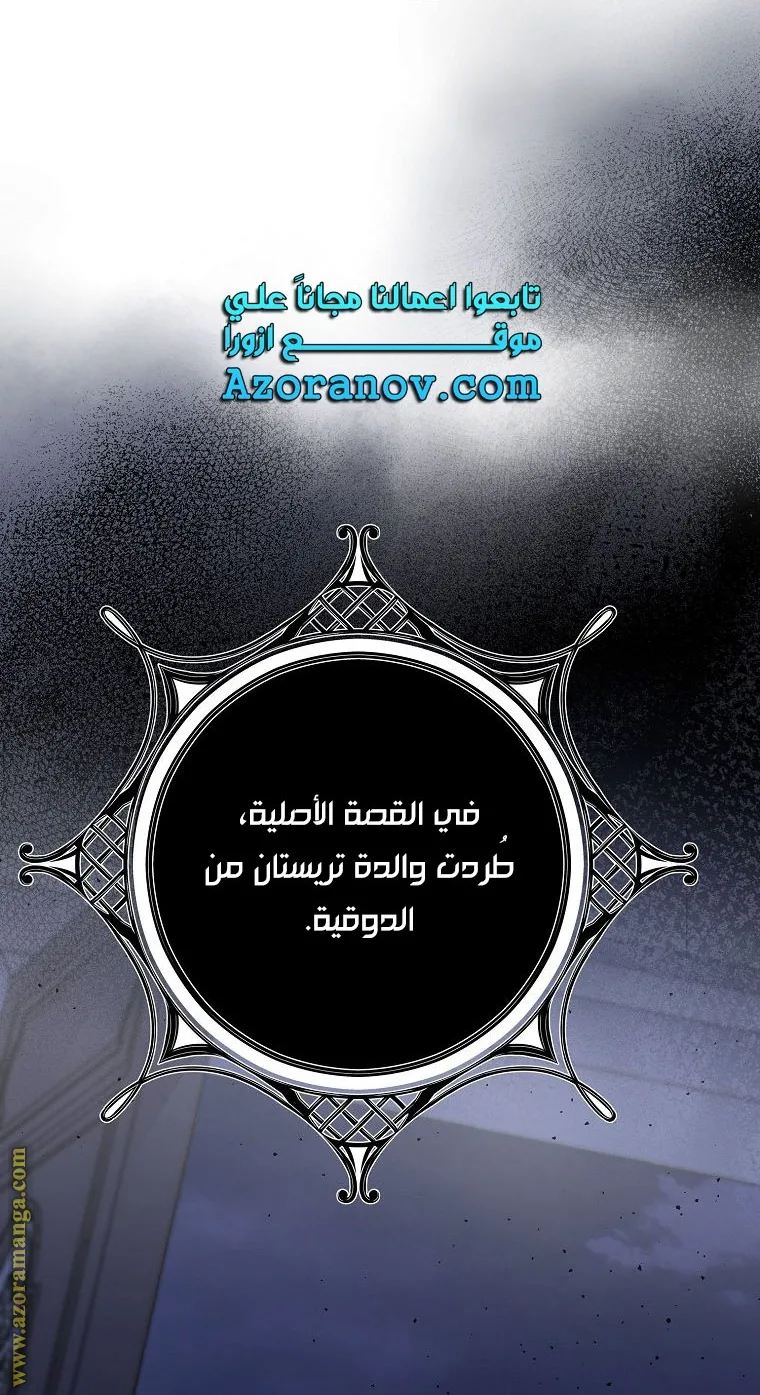 الصفحة 26