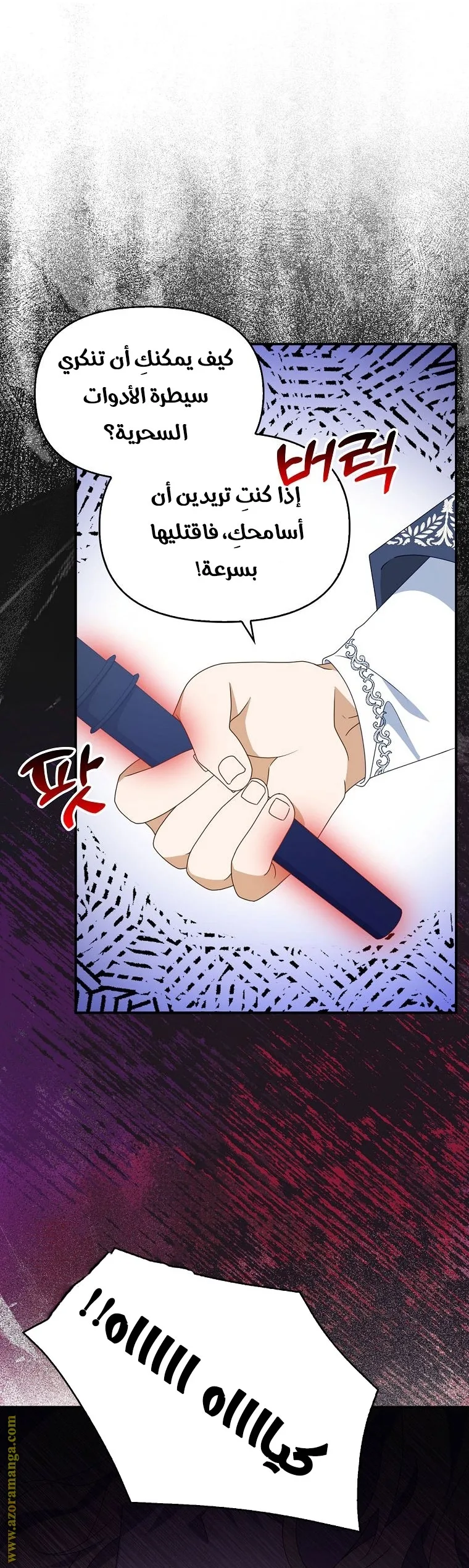 الصفحة 13
